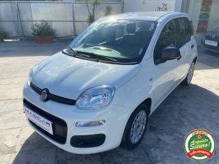 FIAT Panda usata, con Airbag laterali