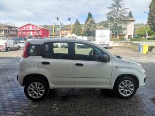 FIAT Panda usata, con Cronologia tagliandi