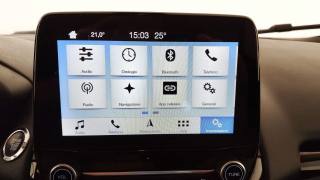 FORD EcoSport usata, con Cruise Control
