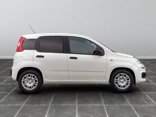 FIAT Panda usata, con Airbag laterali