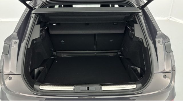 DS AUTOMOBILES DS 7 usata, con Autoradio digitale