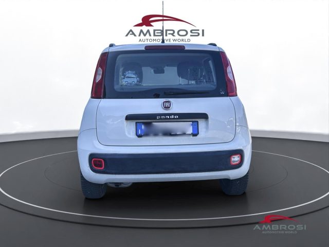 FIAT Panda usata 7