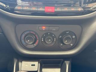 FIAT Doblo usata, con Chiusura centralizzata telecomandata