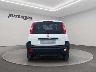 FIAT Panda usata, con Controllo trazione