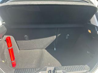 FORD Fiesta usata, con Controllo vocale