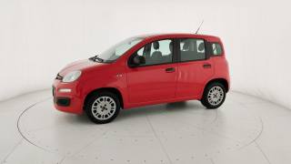 FIAT Panda usata 28