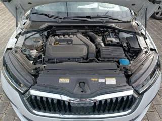 SKODA Octavia usata, con Gancio traino