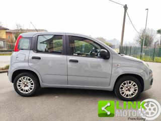 FIAT Panda usata, con ESP
