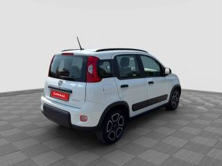 FIAT Panda usata 4