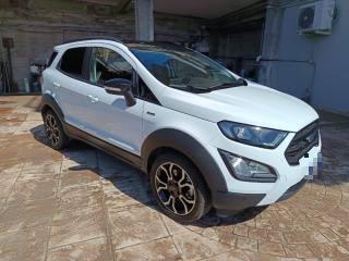 FORD EcoSport usata, con Autoradio