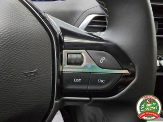 PEUGEOT 3008 usata, con Vetri oscurati
