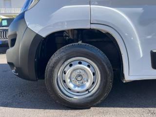 FIAT Ducato usata 13