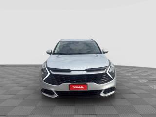 KIA Sportage usata 7