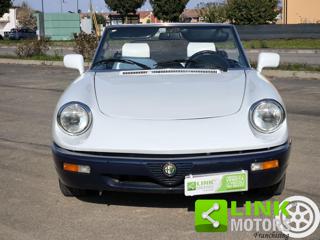 ALFA ROMEO Spider usata 6