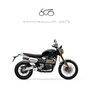 TRIUMPH Scrambler