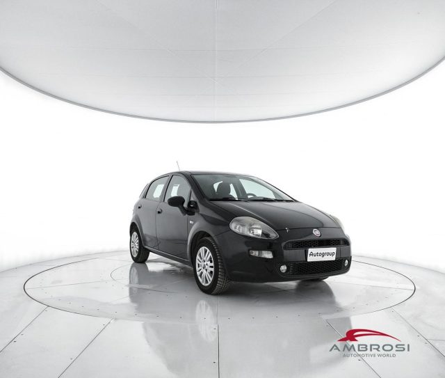 FIAT Punto usata 1