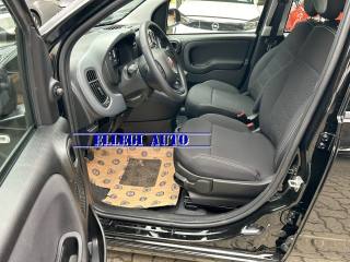 FIAT Panda usata, con Cruise Control