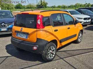 FIAT Panda usata, con Fendinebbia