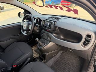 FIAT Panda usata 23