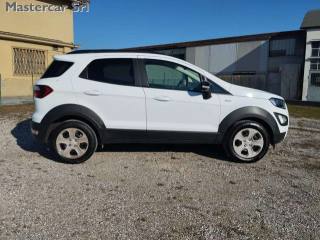 FORD EcoSport usata, con Airbag Passeggero
