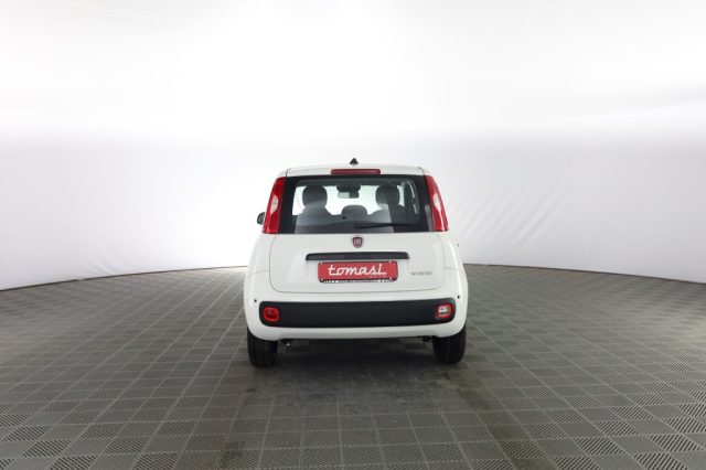 FIAT Panda usata 4