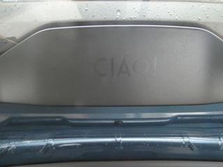 FIAT Grande Panda usata, con Volante multifunzione