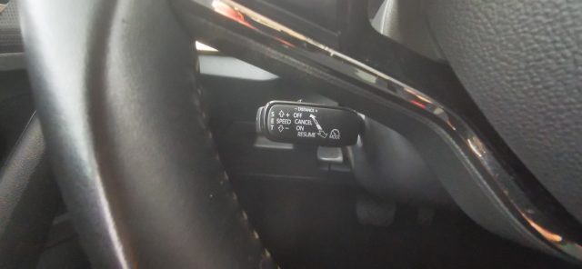 SKODA Scala usata 47