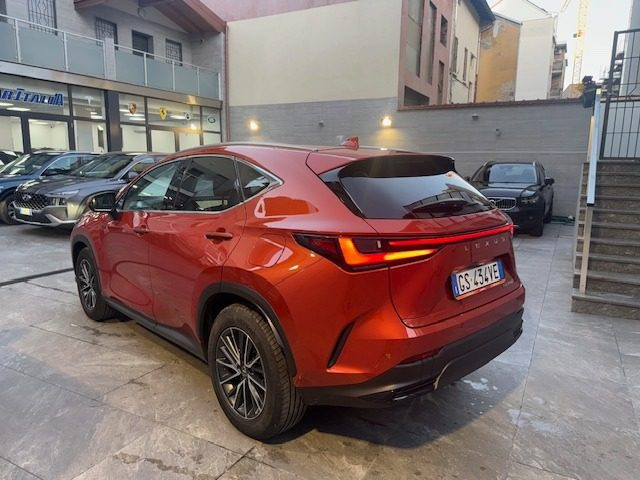 LEXUS NX 300h usata, con Airbag laterali