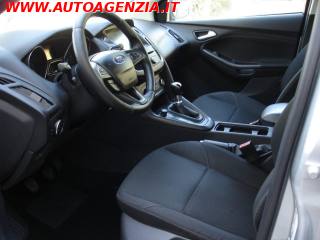 FORD Focus usata 11