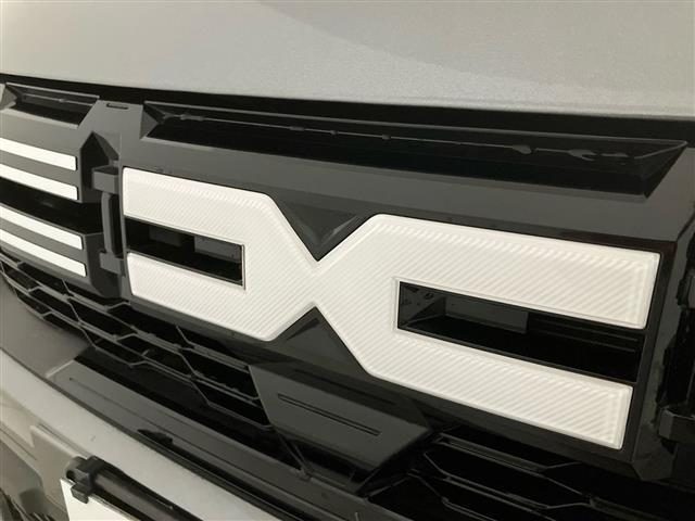 DACIA Jogger usata 24