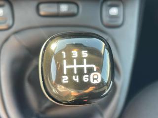FIAT Panda usata, con Climatizzatore