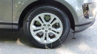LAND ROVER Range Rover Evoque usata, con Regolazione elettrica sedili
