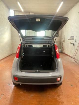 FIAT Panda usata 17