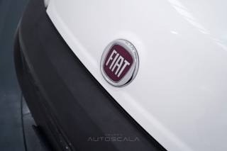 FIAT Fiorino usata 18
