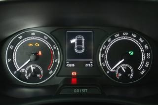 SKODA Fabia usata 12