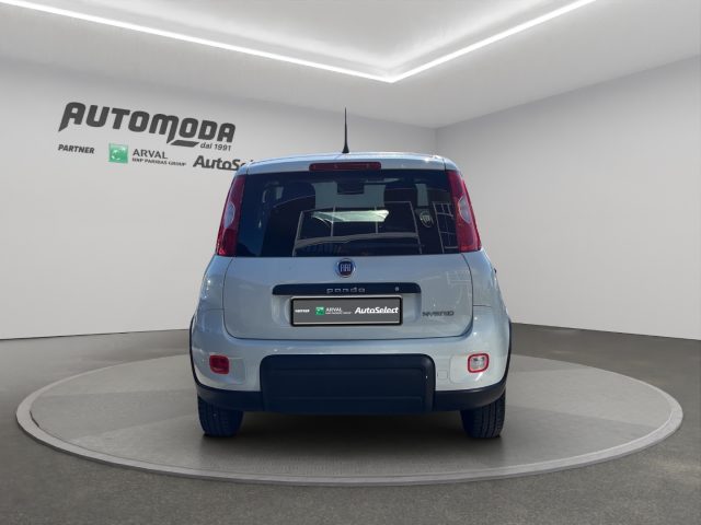 FIAT Panda usata, con Climatizzatore