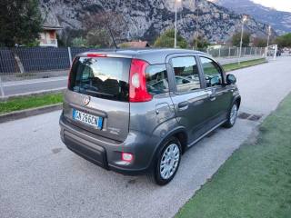 FIAT Panda usata, con Antifurto