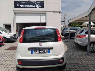 FIAT Panda usata 17
