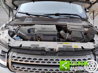 LAND ROVER Range Rover Evoque usata, con Cronologia tagliandi