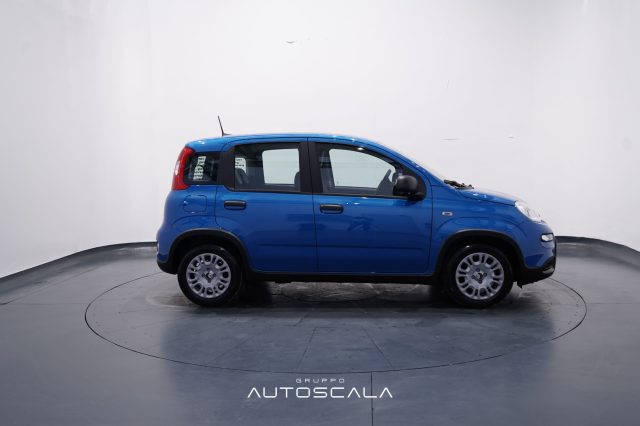 FIAT Panda usata, con Climatizzatore