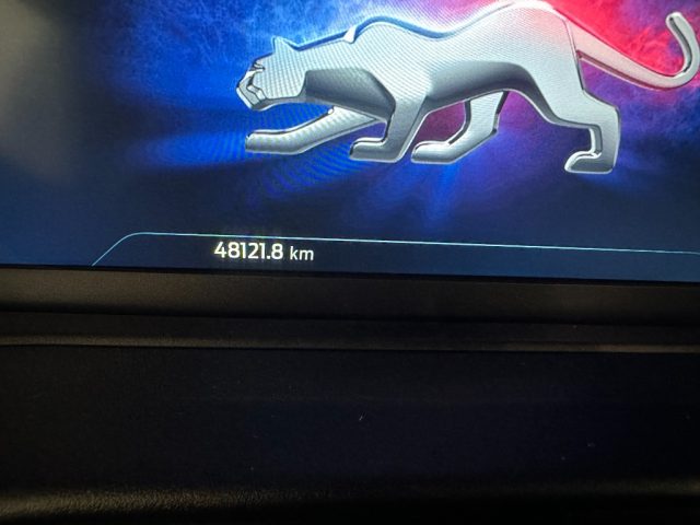 FORD Puma usata, con Vetri oscurati