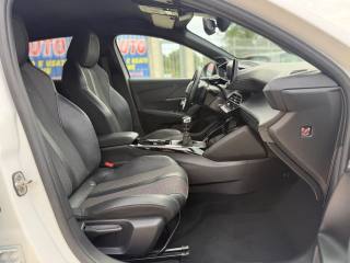 PEUGEOT 208 usata, con Telecamera per parcheggio assistito