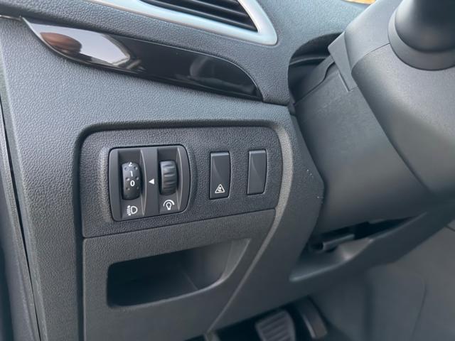 RENAULT Scenic usata 27