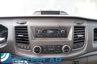 FORD Transit usata, con Fendinebbia