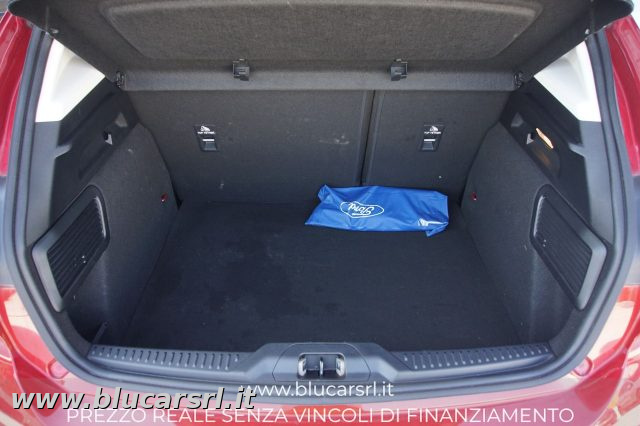 FORD Focus usata 10