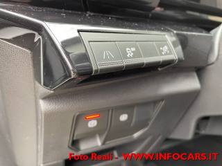 RENAULT Austral usata, con Bracciolo