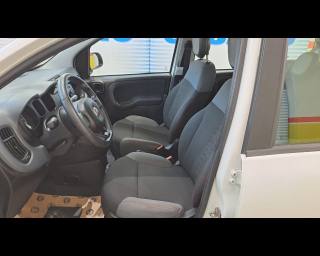 FIAT New Panda usata 20