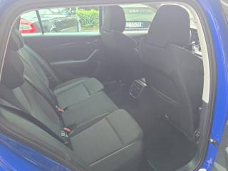 SKODA Octavia usata 120