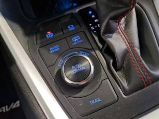 TOYOTA RAV 4 MY23 usata, con Regolazione elettrica sedili