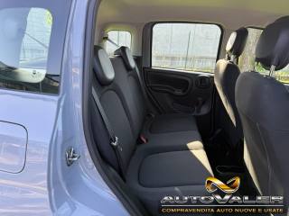 FIAT Panda usata, con Fendinebbia